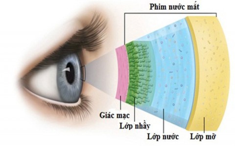 Những nguyên nhân nào chính yếu gây ra hiện tượng khô mắt?